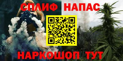 спиды Дубна
