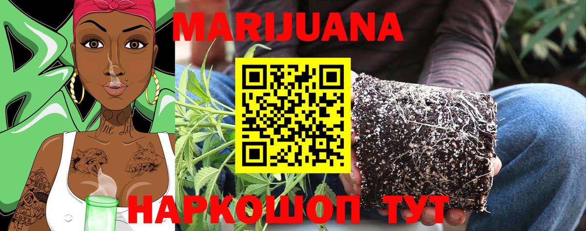 Марихуана тримм  Вход с VPN  МАРИХУАНА ГИДРОПОН  Людиново 